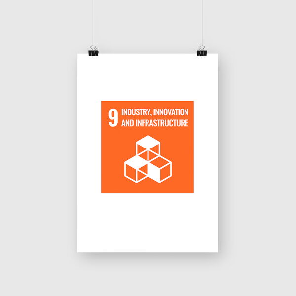 SDG Goal 9