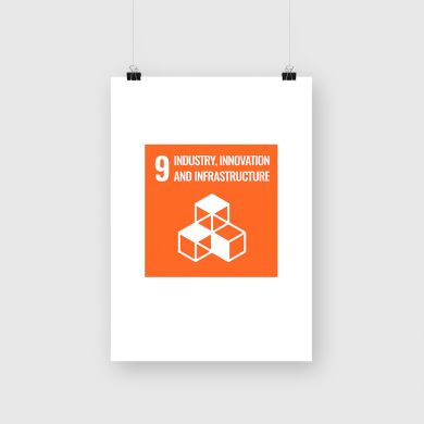 SDG Goal 9