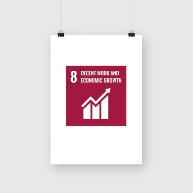 SDG Goal 8