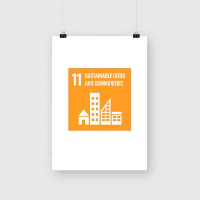 SDG Goal 11