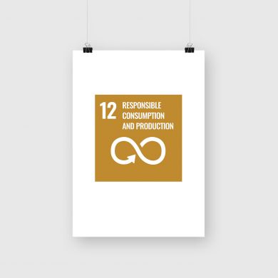SDG Goal 12