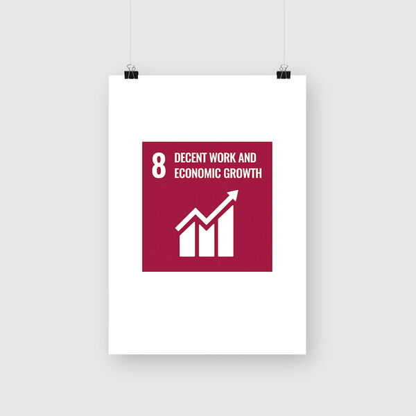 SDG Goal 8